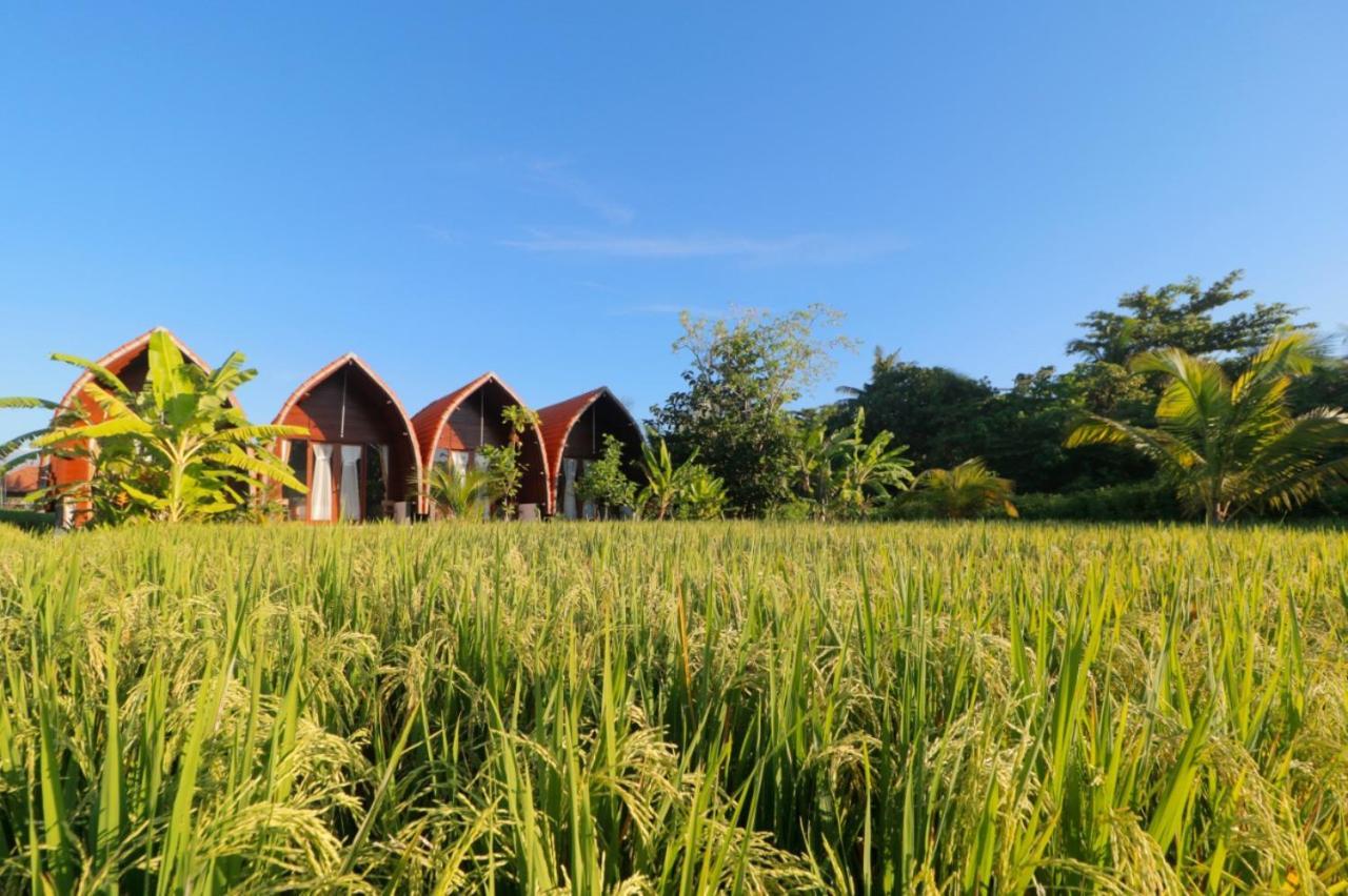 Hotel Keramas Surf Camp Zewnętrze zdjęcie